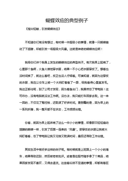 蝴蝶效应的典型例子