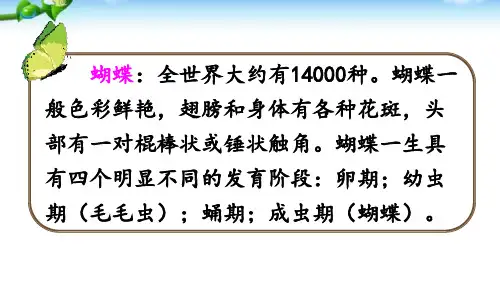 部编本二年级语文下册人教版22.小毛虫ppt课件