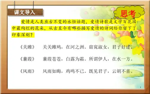 《致橡树》课件 高教版中职语文基础模块上册
