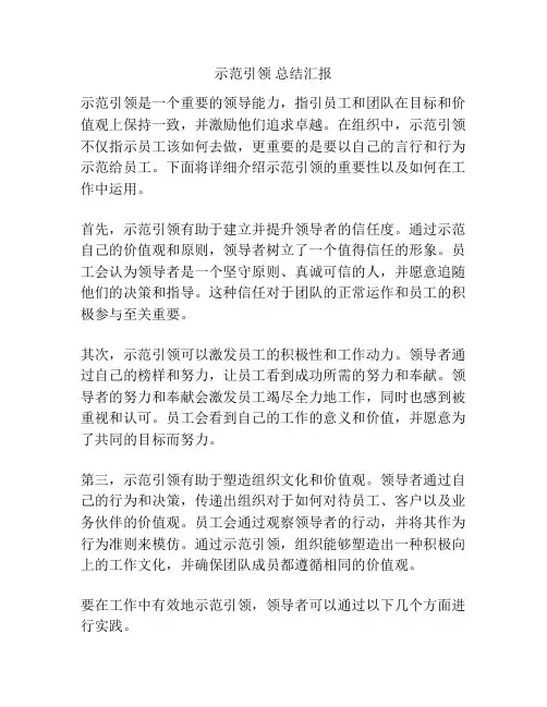 示范引领 总结汇报