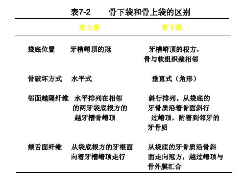 牙 周 病 学 第四版 5