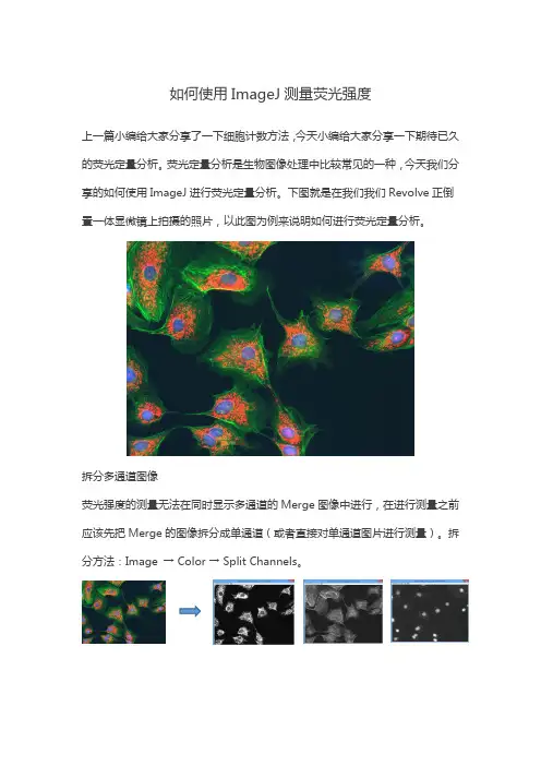 如何使用ImageJ测量荧光强度