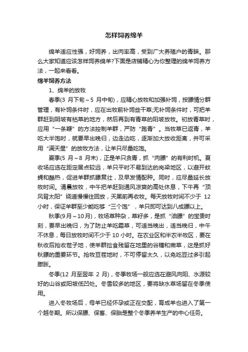 怎样饲养绵羊