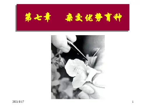 园林植物花卉育种学ppt课件第7章 杂种优势的利用
