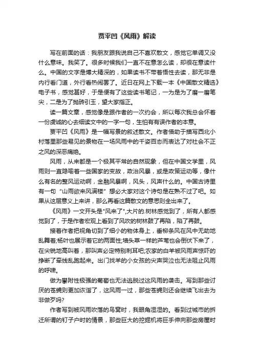 贾平凹《风雨》解读