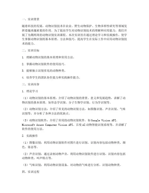 动物识别实训报告