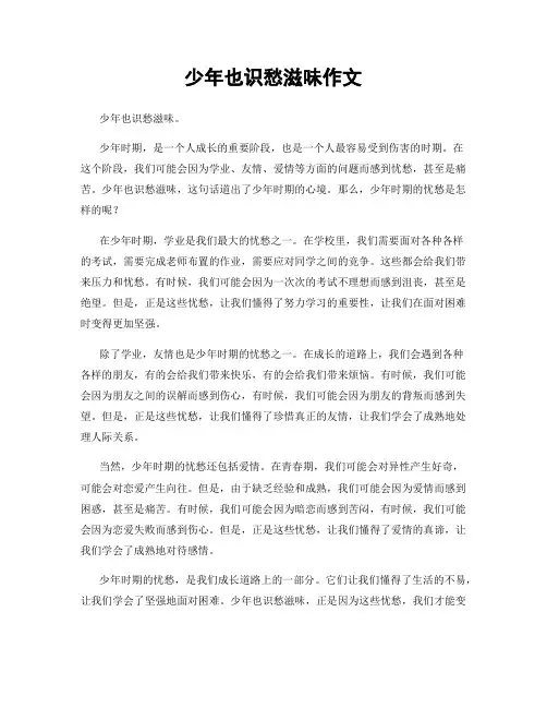 少年也识愁滋味作文