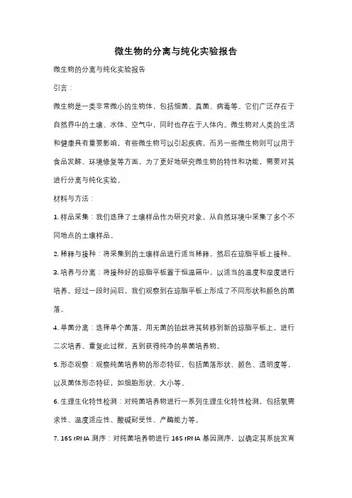 微生物的分离与纯化实验报告