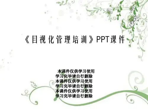 《目视化管理培训》PPT课件