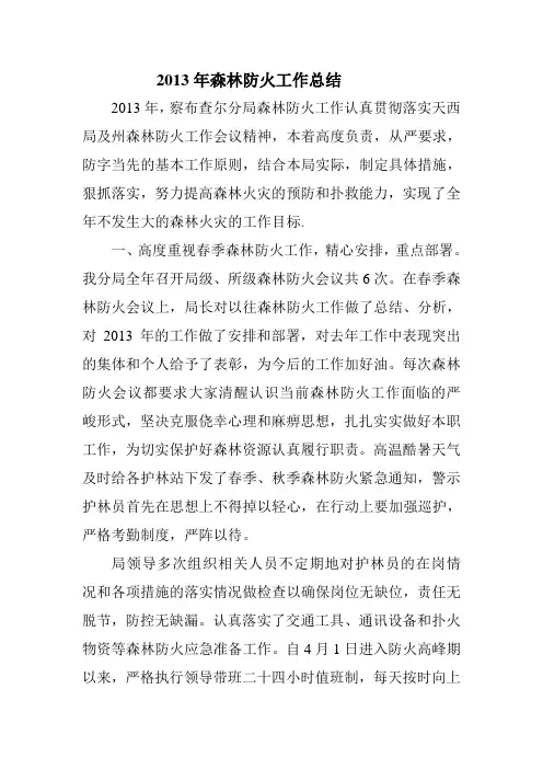 2013年森林防火工作总结