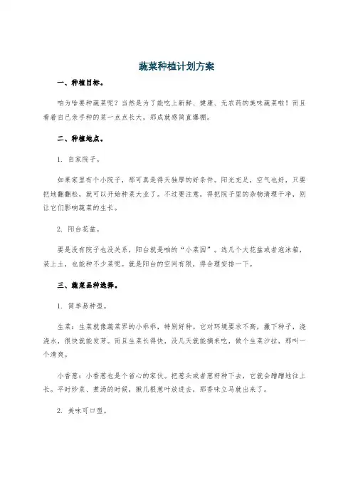 蔬菜种植计划方案