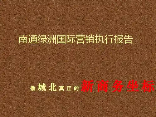 国际营销执行报告ppt(41张)