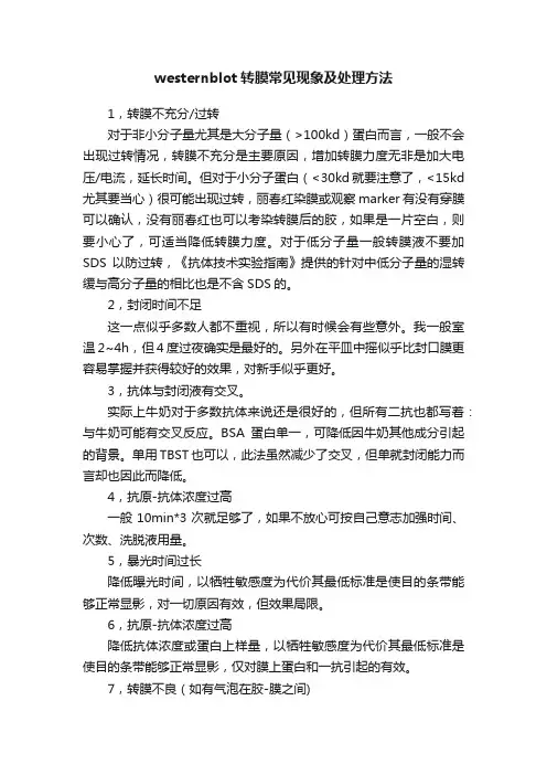 westernblot转膜常见现象及处理方法