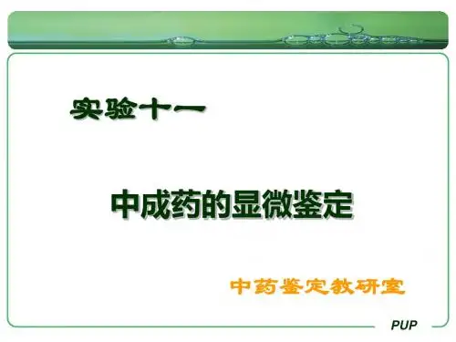 《中药鉴定学期末复习》实验十一 中成药的显微鉴定-PPT精选文档