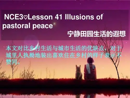 新概念三41