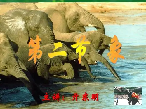 第四章第二 三节 象、大熊猫