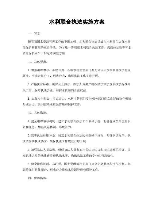 水利联合执法实施方案