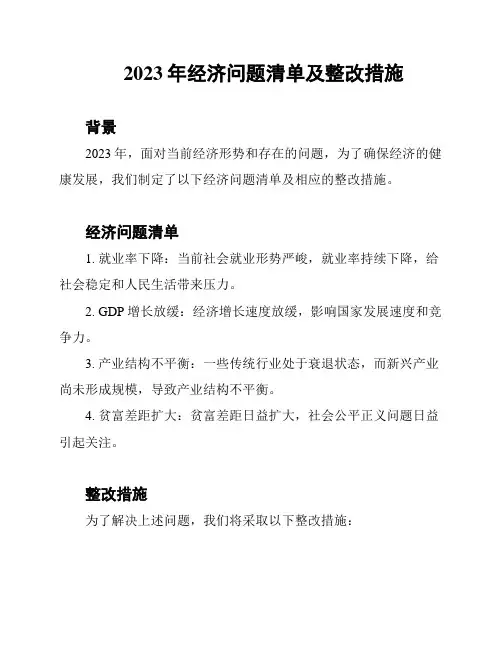 2023年经济问题清单及整改措施