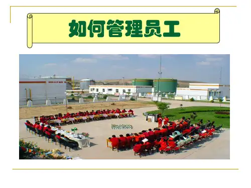 激励员工的几个方面