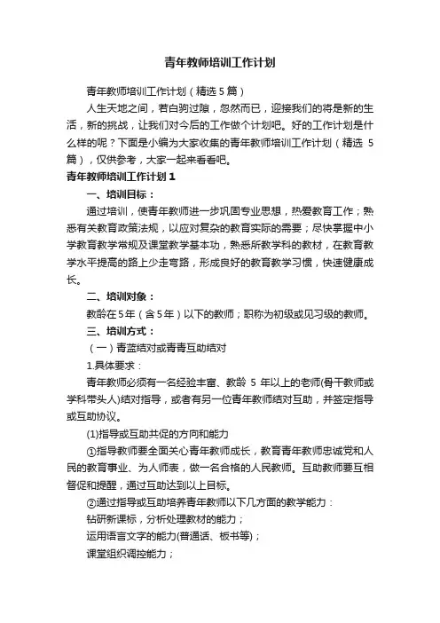 青年教师培训工作计划