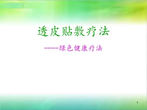 透皮技术 ppt课件