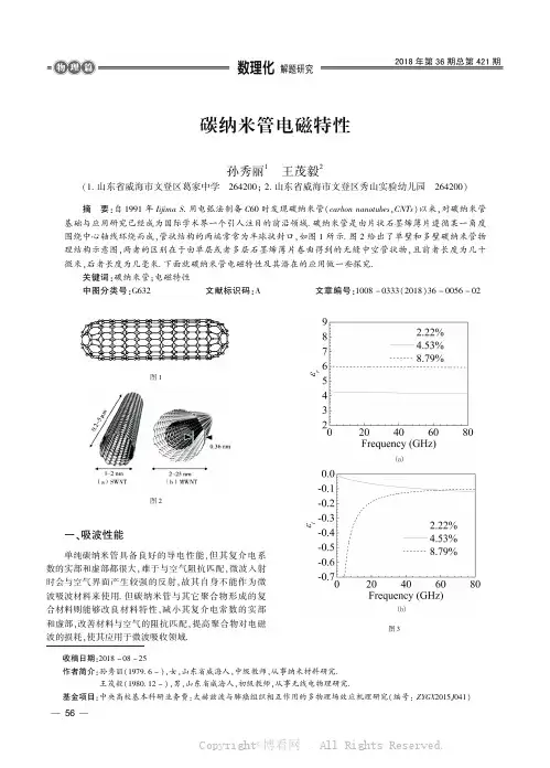 碳纳米管电磁特性 