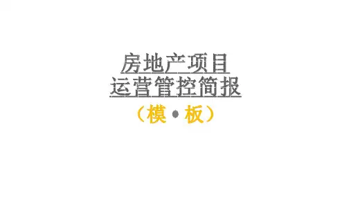 房地产项目大运营简报模板