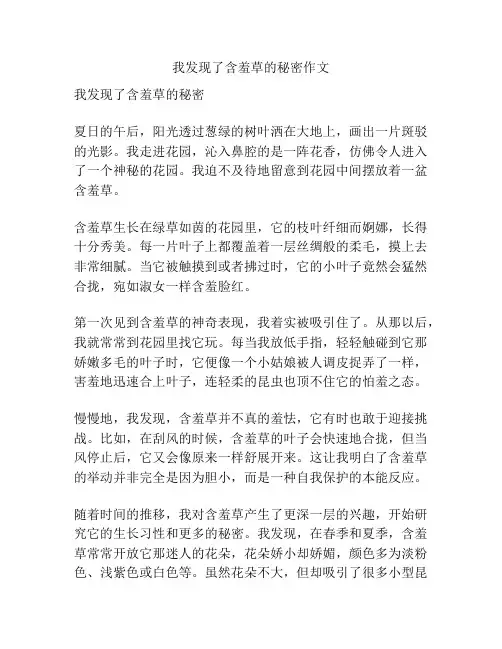我发现了含羞草的秘密作文