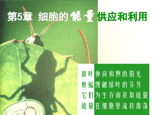 生物高中必修1第五章第一节1ppt课件