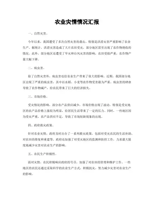 农业灾情情况汇报