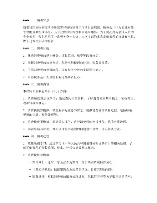 税务会计实训消费税报告