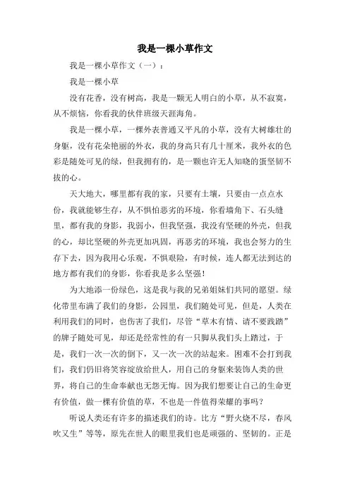 我是一棵小草作文