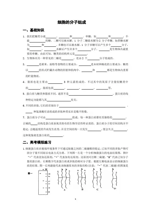 浙科版生物必修一第一章训练1 (2)