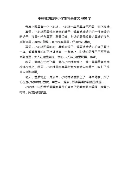 小树林的四季小学生写景作文400字
