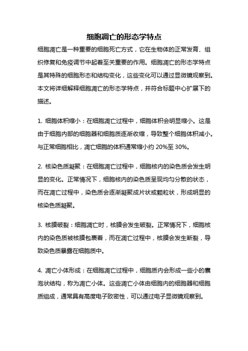 细胞凋亡的形态学特点
