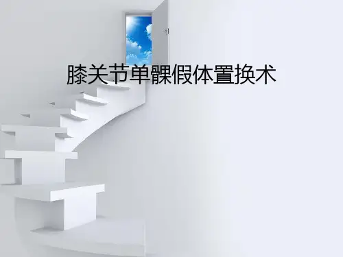 单髁置换术PPT演示课件