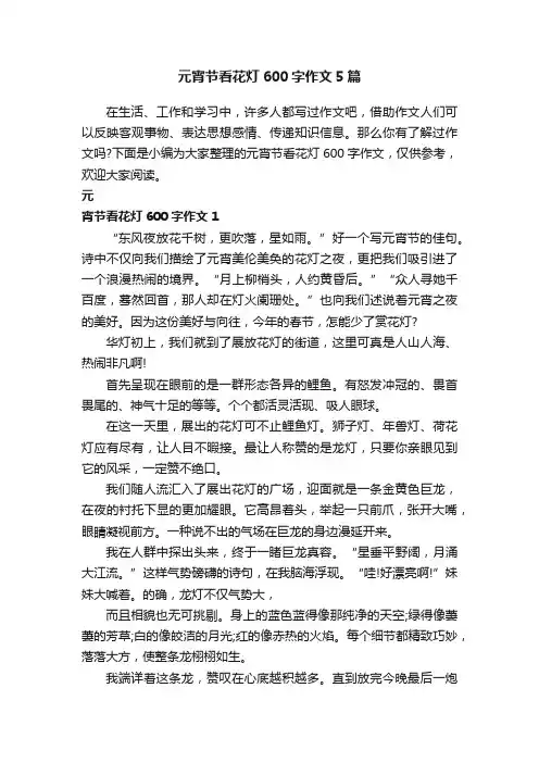 元宵节看花灯600字作文5篇
