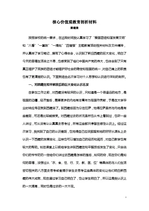 核心价值观教育剖析材料