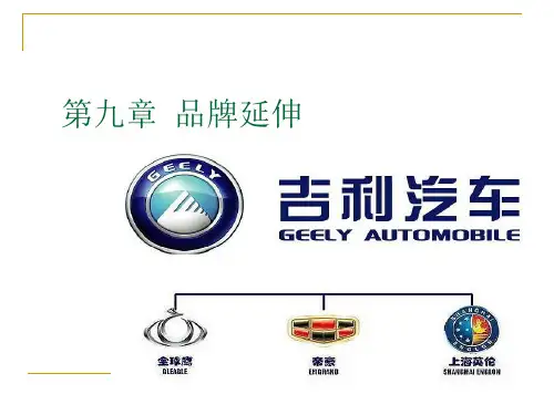 品牌延伸策略及分析(ppt 68页)