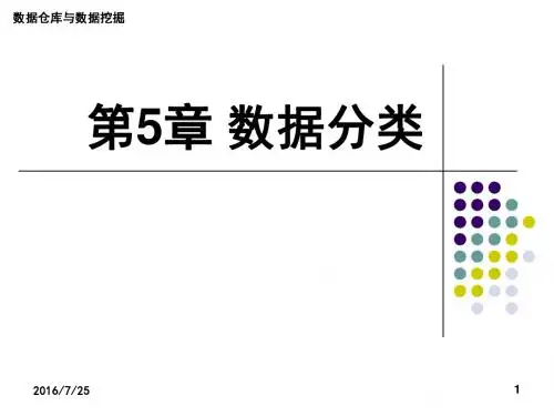 第5章 数据分类