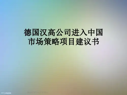 德国汉高公司进入中国市场策略项目建议书