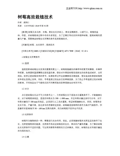 树莓高效栽植技术