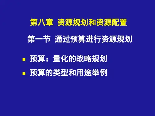 资源规划和资源配置企业战略管理