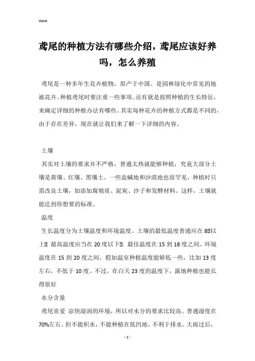 鸢尾的种植方法有哪些介绍,鸢尾应该好养吗,怎么养殖