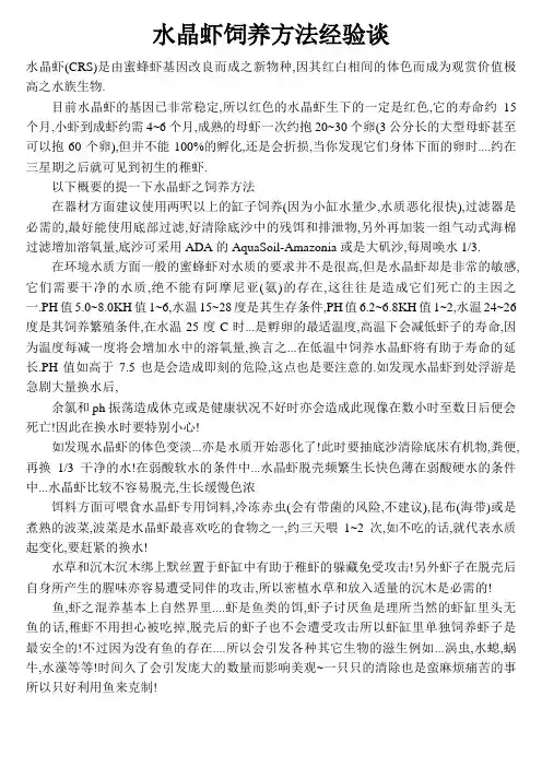 水晶虾饲养方法经验谈