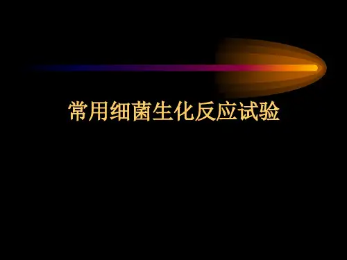 微生物学检验细菌的生物化学实验