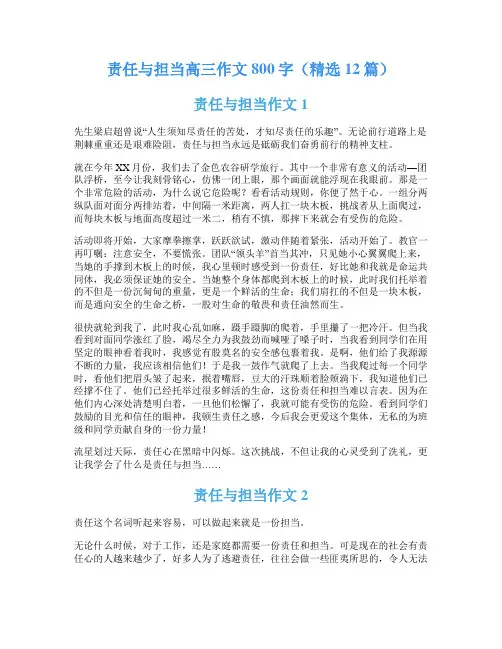 责任与担当高三作文800字(精选12篇)