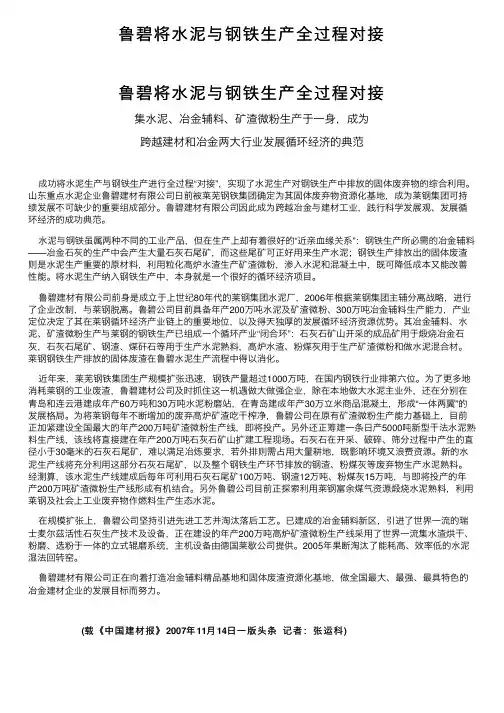 鲁碧将水泥与钢铁生产全过程对接