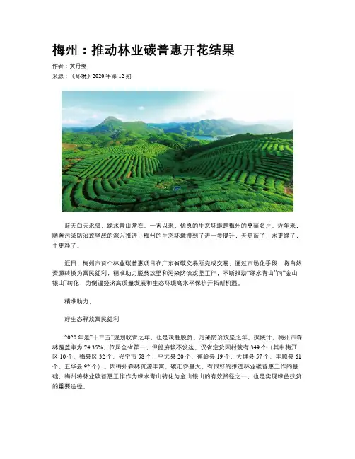 梅州：推动林业碳普惠开花结果