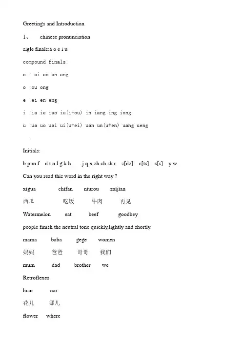 对外汉语教学第一课教案the first class(1)